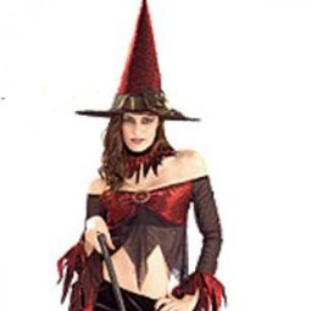 Rubie's Crimson Witch  Adult Halloween Costume New